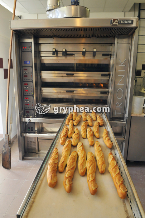 Sortie des baguettes après cuisson - gryphea.com